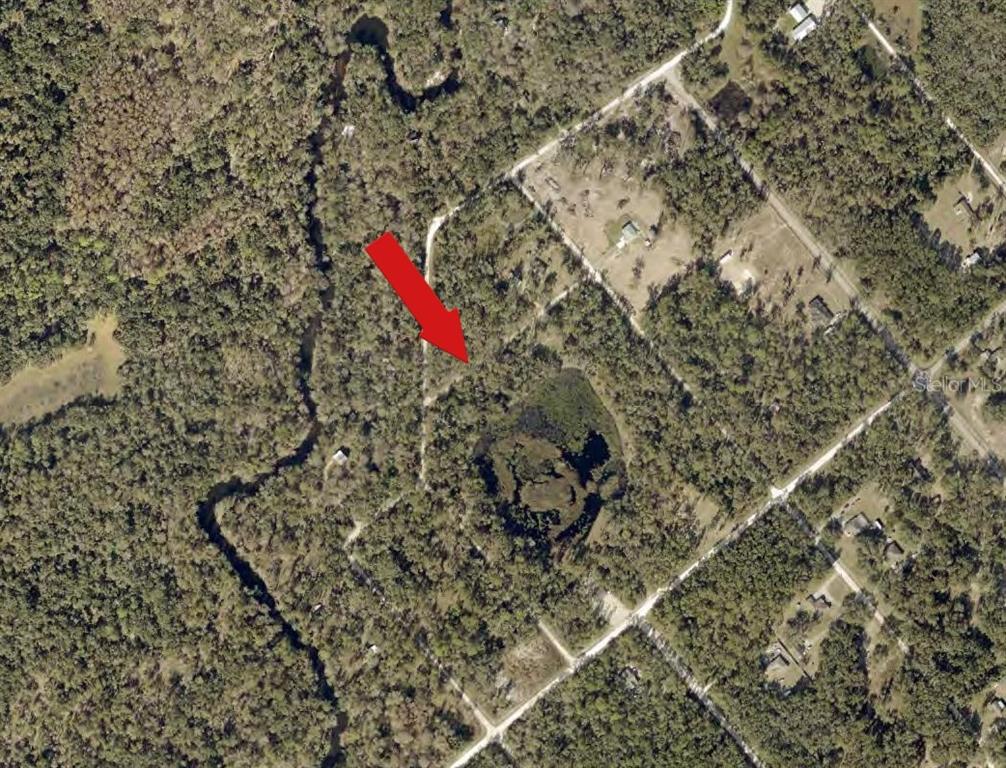 7132 KENYON DRIVE, WEBSTER, FL — photo 3 of 3