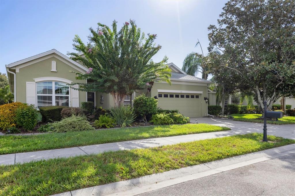 331 LONDONDERRY DRIVE