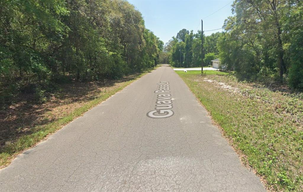 GUAVA PASS LANE, OCKLAWAHA, FL — photo 2 of 5