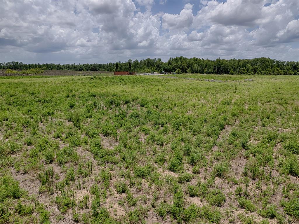 A wide, grassy field stretches toward a distant tree line under a cloudy sky — 12005 SR-33, GROVELAND, FL