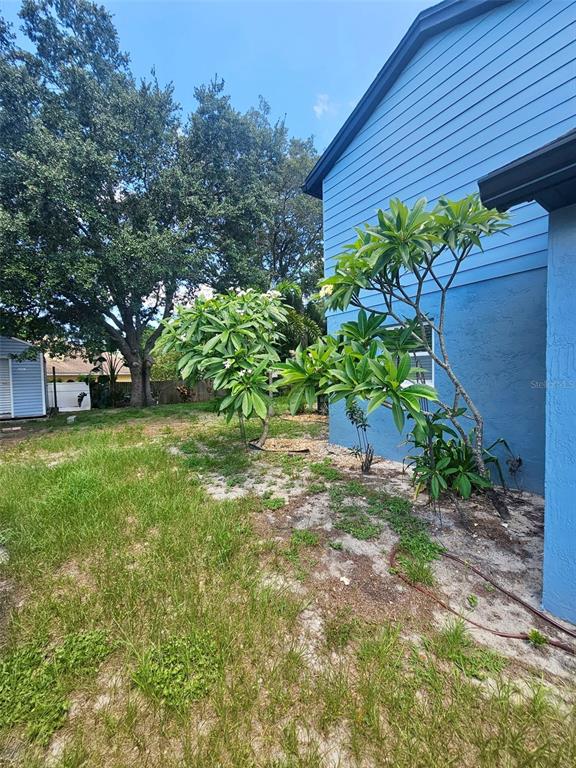 A blue house exterior features two plumeria trees planted in a sandy yard — 8070 VILLAGE GREEN ROAD, ORLANDO, FL