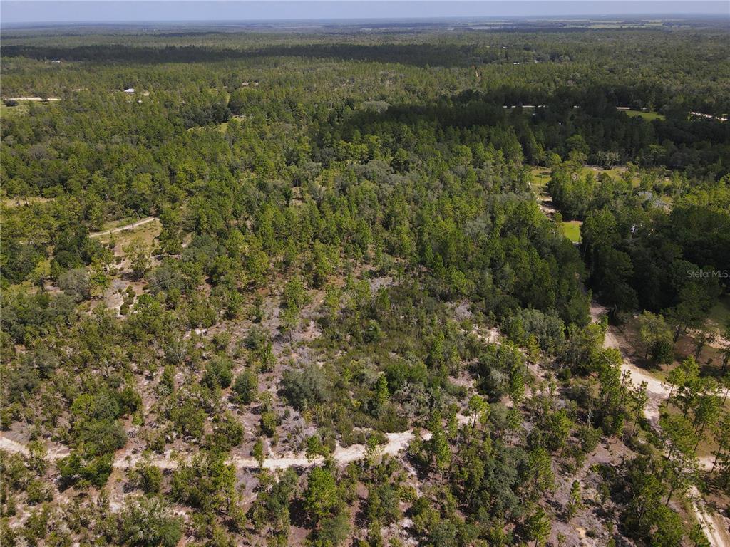 An aerial view shows a large, wooded lot with dirt paths winding through the trees — TBD NE 100 AVENUE, ARCHER, FL