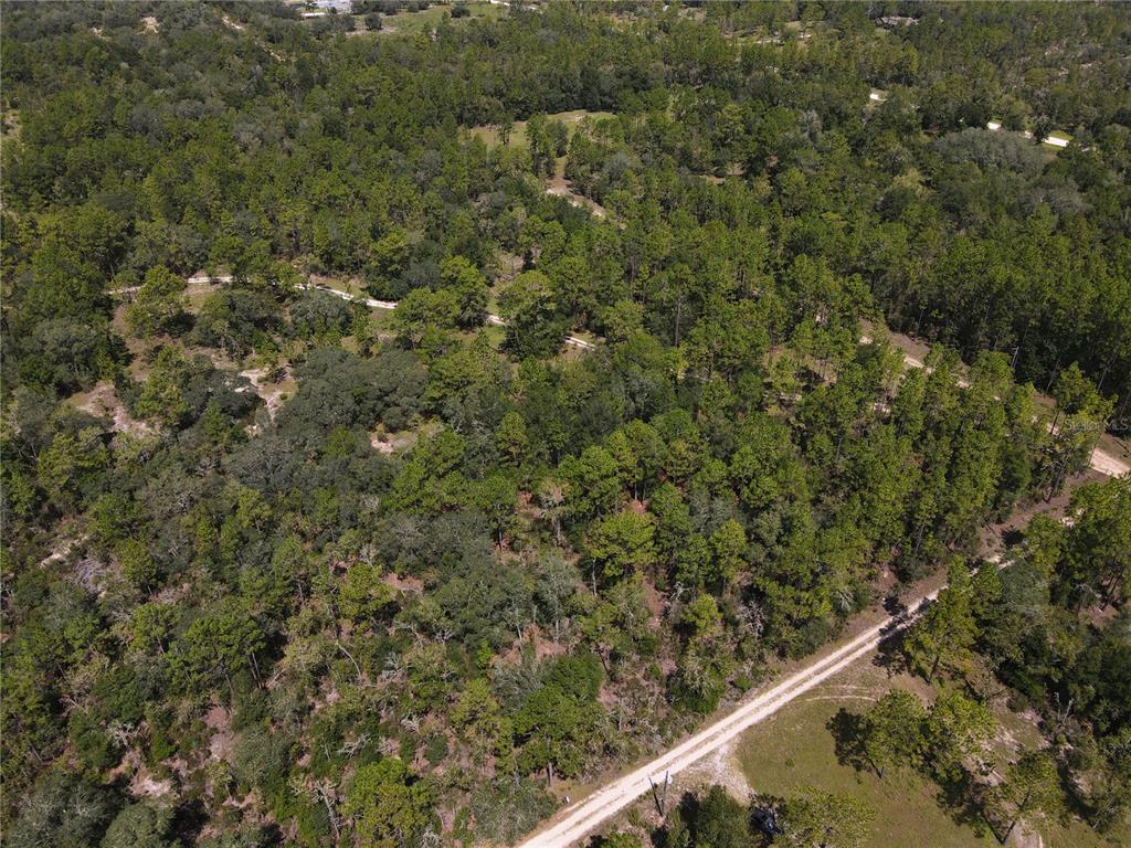 An aerial view shows a dirt road winding through a dense, wooded forest — TBD NE 100 AVENUE, ARCHER, FL