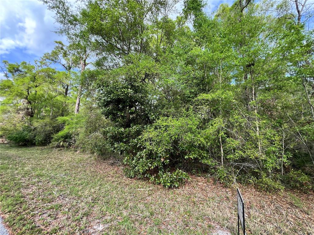 A dense, wooded lot with a grassy foreground and a partially visible real estate sign — NW 74TH COURT UNIT 112, CHIEFLAND, FL