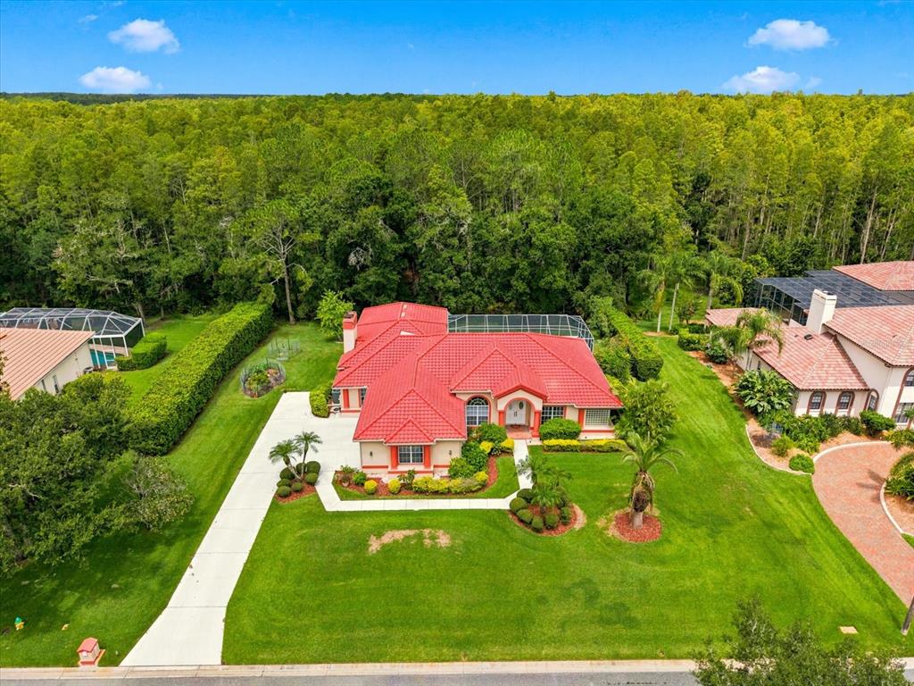 An aerial view shows a single-story house with a red tile roof and pool enclosure — 18621 AVENUE CAPRI, LUTZ, FL