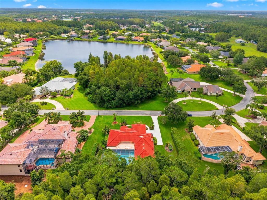 An aerial view shows several houses with red-tiled roofs and swimming pools near a lake — 18621 AVENUE CAPRI, LUTZ, FL