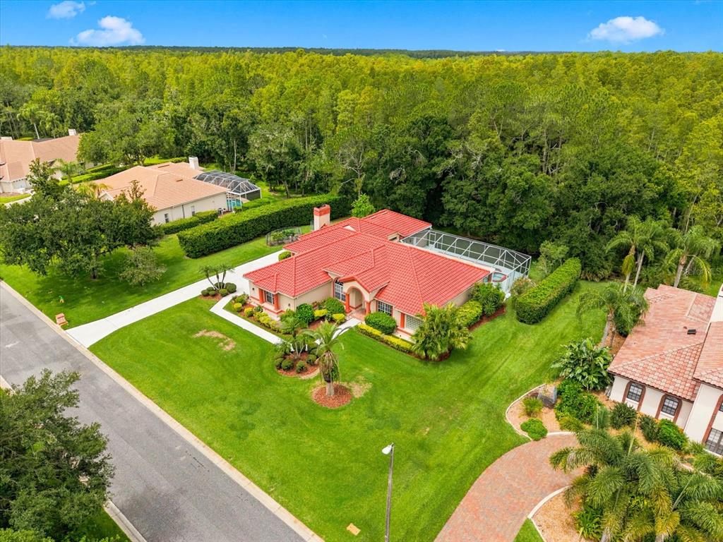 An aerial view shows a single-story house with a red tile roof and pool enclosure — 18621 AVENUE CAPRI, LUTZ, FL