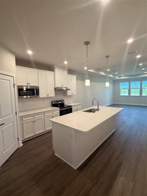 A kitchen with white cabinets, a quartz-topped island, stainless steel appliances, and dark wood flooring — 18732 HIGHLAND DEW STREET, SPRING HILL, FL