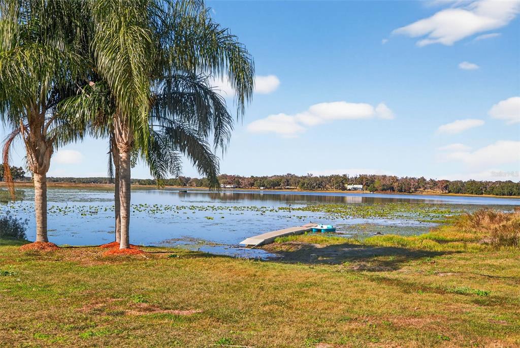 A grassy lawn leads to a small dock on a lake with palm trees nearby — 36649 COVINGTON ROAD, DADE CITY, FL