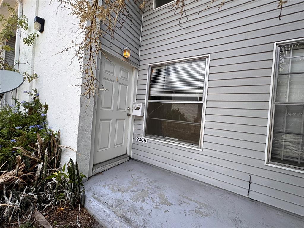 A gray-sided building exterior features a white front door, a window, and a concrete porch — 7309 JACKSON SPRINGS ROAD UNIT 7309, TAMPA, FL