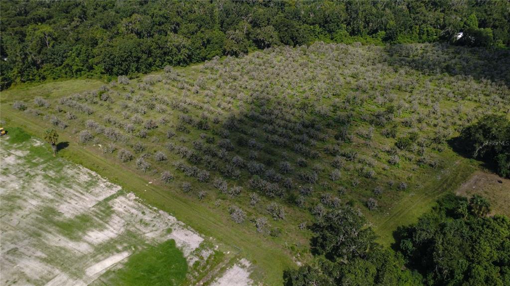 HOLLY HAMMOCK ROAD, DE LEON SPRINGS, FL — photo 2 of 12