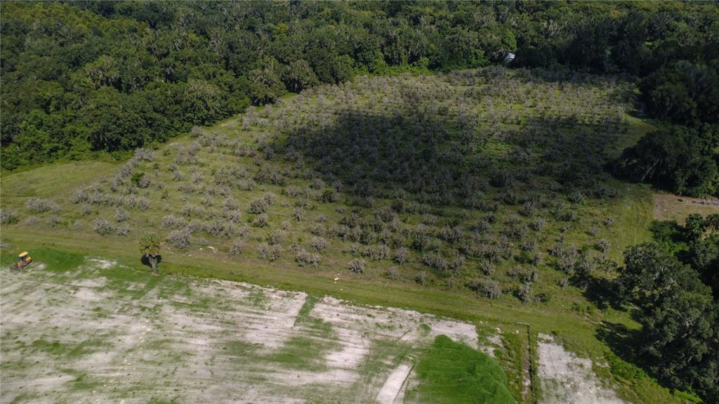 HOLLY HAMMOCK ROAD, DE LEON SPRINGS, FL — photo 3 of 12