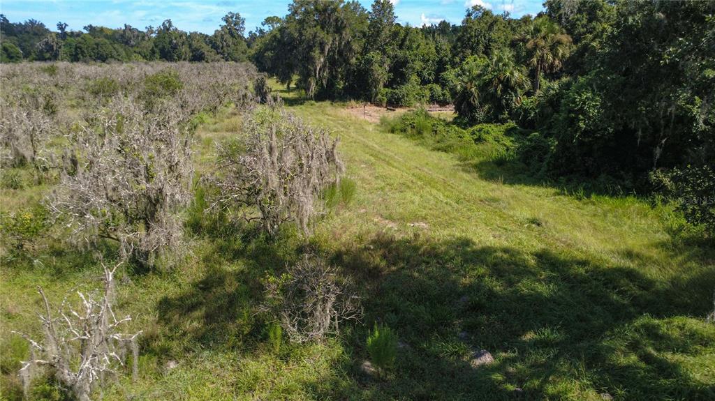 HOLLY HAMMOCK ROAD, DE LEON SPRINGS, FL — photo 5 of 12