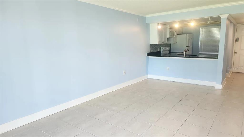 5038 TERRACE PALMS CIRCLE UNIT 102, TAMPA, FL — photo 5 of 11