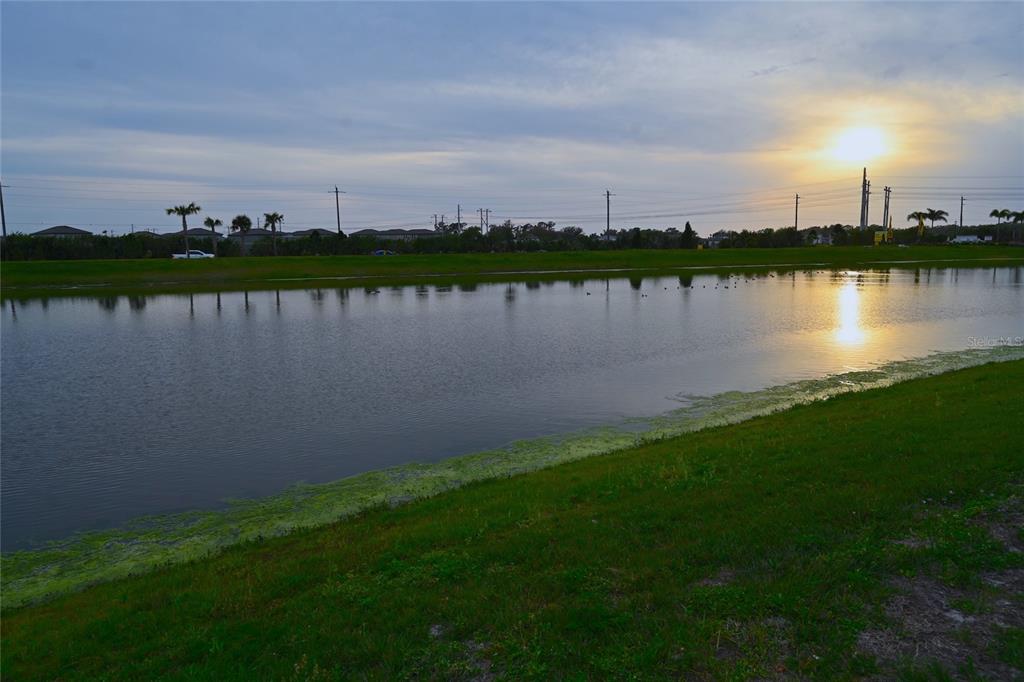 A grassy bank overlooks a calm pond under a sunset sky with distant power lines — 9532 SANDY BLUFFS CIRCLE, PARRISH, FL