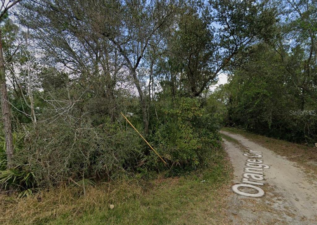 ORANGE CIRCLE, PAISLEY, FL — photo 3 of 4
