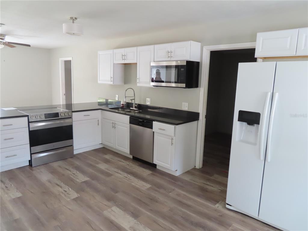 A kitchen features white cabinets, black countertops, stainless steel appliances, and wood-look flooring — 1215 WINDSOR CIRCLE, BRANDON, FL