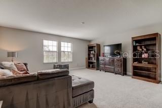 A living room features a sectional sofa, two wooden bookshelves, and a television on a dresser — 13118 JETER CREEK DRIVE, RIVERVIEW, FL