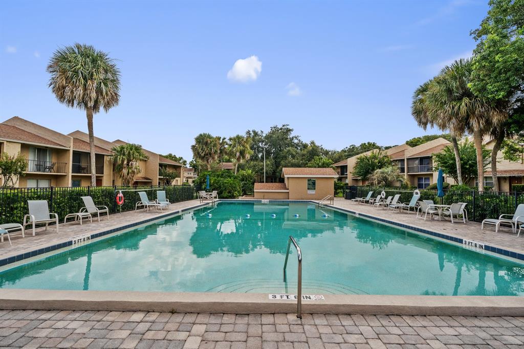 An outdoor swimming pool surrounded by lounge chairs, palm trees, and multi-story apartment buildings — 856 PARK LAKE CIRCLE UNIT 51, MAITLAND, FL
