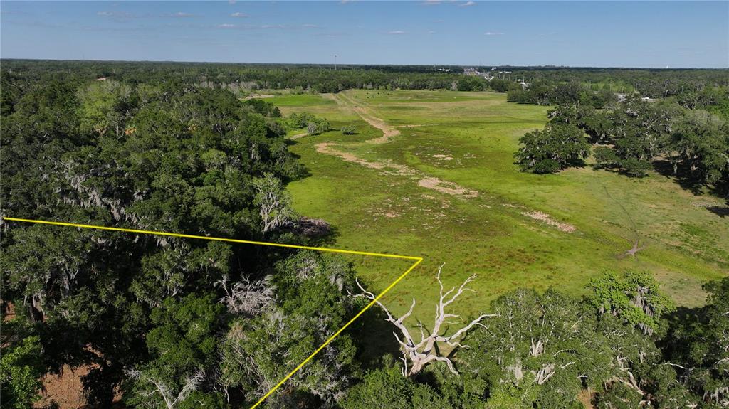 A wooded lot with large, moss-draped oak trees and patches of dirt and grass — MUCK POND ROAD, SEFFNER, FL