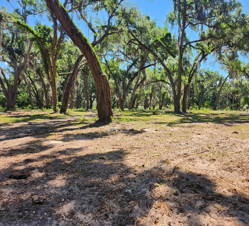 A wooded lot with mature trees and Spanish moss covers the ground in dappled sunlight — MUCK POND ROAD, SEFFNER, FL
