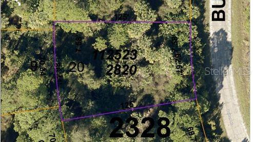 This is a satellite map view of a rectangular, wooded plot of land — BUTTON STREET, NORTH PORT, FL
