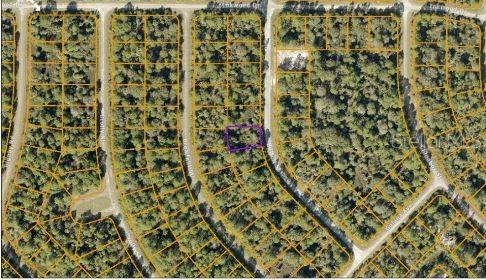 This is an aerial map showing a vacant residential lot outlined in purple — BUTTON STREET, NORTH PORT, FL