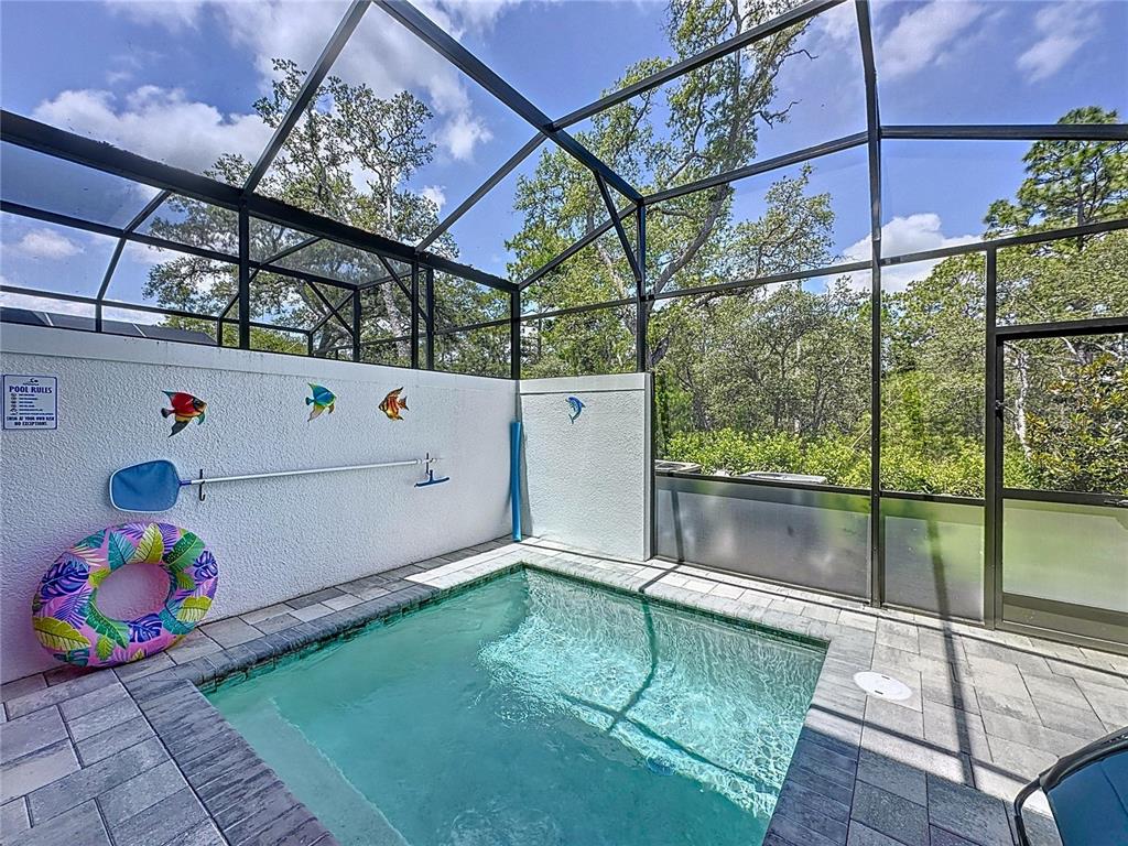 A small rectangular pool is enclosed within a screened-in patio area with decorative wall art — 1425 SERENDIPITY LANE, CLERMONT, FL