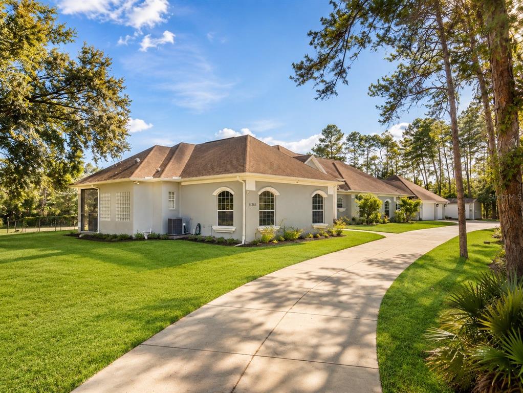 A single-story house with a light-colored exterior, arched windows, and a long concrete driveway — 11200 WOODLAND WATERS BOULEVARD, WEEKI WACHEE, FL