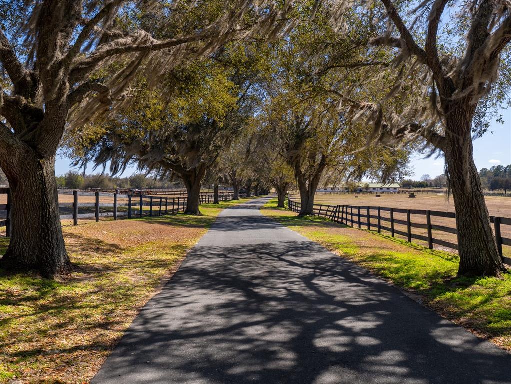 A paved driveway lined with large oak trees and wooden fences leads toward a farm — 11122 W HIGHWAY 326, OCALA, FL