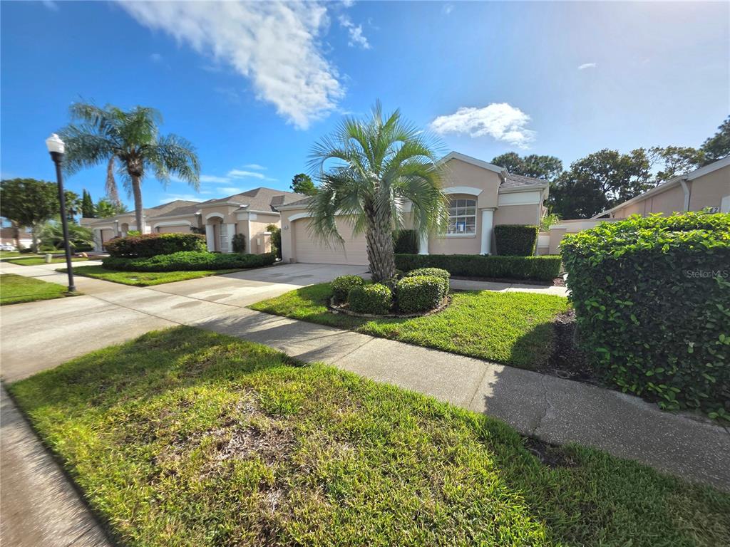 384 ROYAL PALM WAY, SPRING HILL, FL — photo 2 of 28