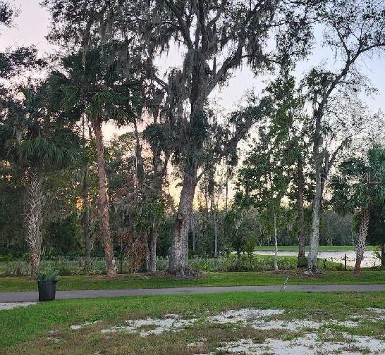 A grassy yard with palm trees and large oaks overlooks a pond at sunset — 153 FERN DRIVE, DEBARY, FL
