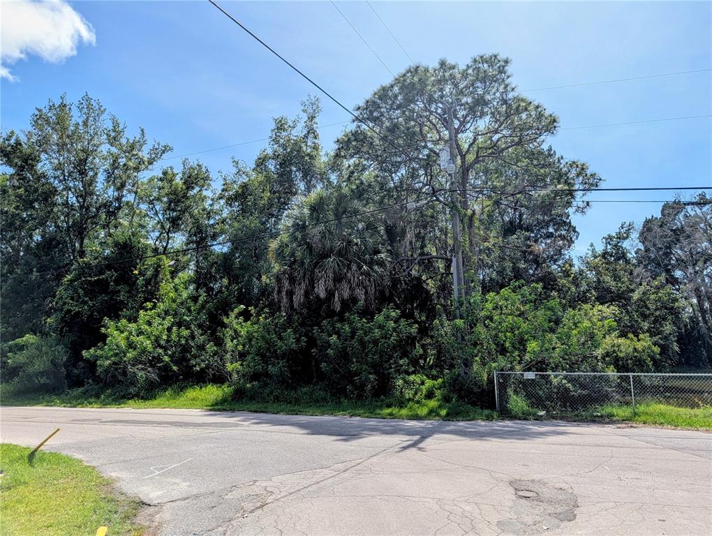A paved road curves in front of a dense, wooded lot with a chain-link fence — TBD DAYTON, HUDSON, FL