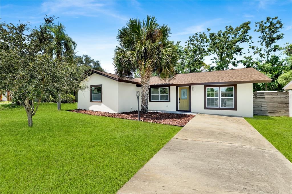 A single-story house with a concrete driveway, a palm tree, and a green lawn — 2264 WINCHESTER DRIVE, DUNEDIN, FL