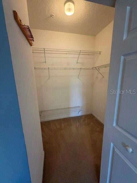 A walk-in closet features beige carpeting, white walls, and two levels of wire shelving — 5524 METROWEST BOULEVARD UNIT 206, ORLANDO, FL