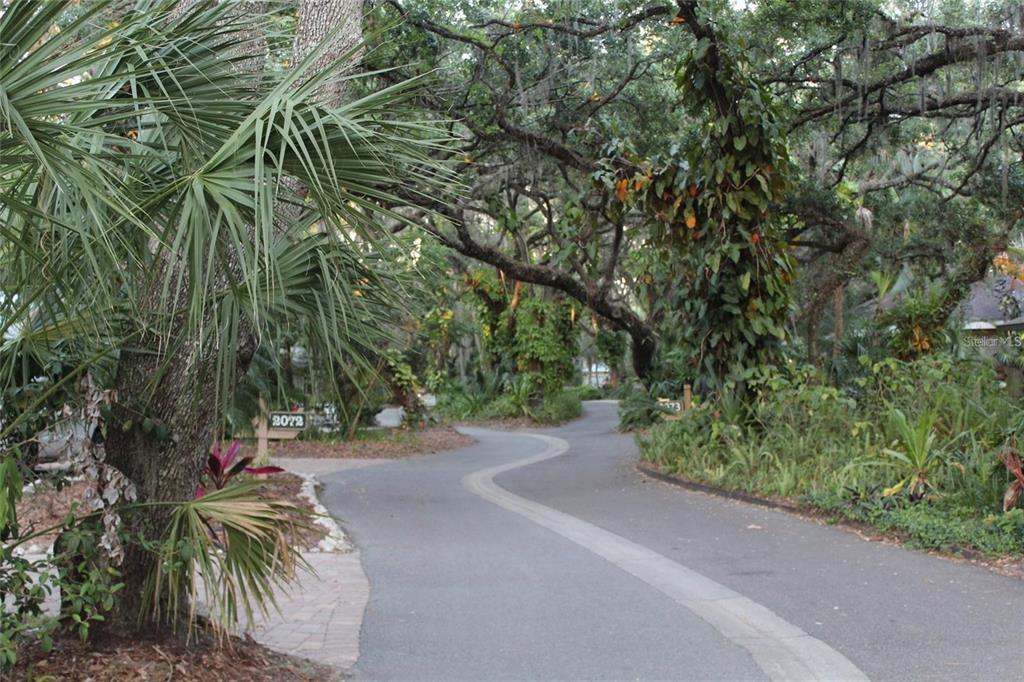 A winding paved road leads through a lush, tree-lined landscape with tropical foliage — 2166 SYLVAN LEA DRIVE, SARASOTA, FL