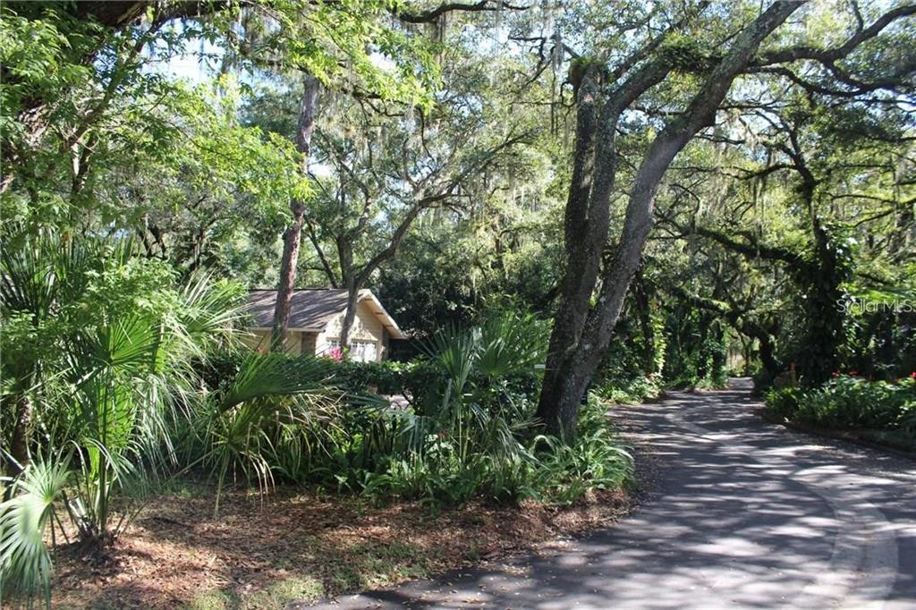 A paved driveway winds through a lush, tree-covered landscape toward a small house — 2166 SYLVAN LEA DRIVE, SARASOTA, FL