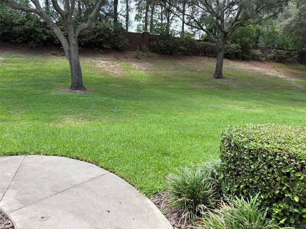 A grassy backyard features two large trees and a concrete patio in the foreground — 1101 VINTAGE VILLAGE LANE UNIT 110, OCOEE, FL