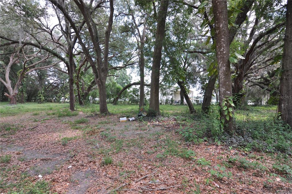 A wooded lot with mature trees and scattered leaves under an overcast sky — 6734 20TH STREET, ZEPHYRHILLS, FL