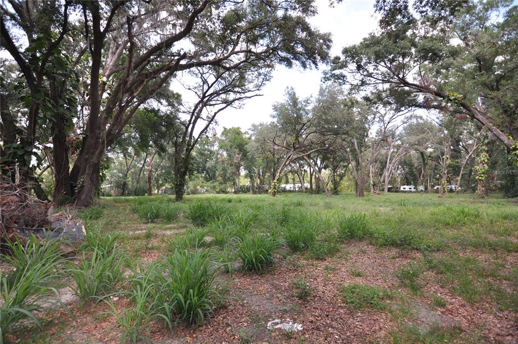 A grassy, partially wooded vacant lot with mature trees under a bright sky — 6734 20TH STREET, ZEPHYRHILLS, FL
