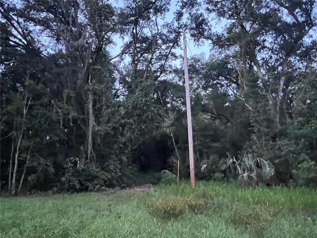 112 & 114 GROVE DRIVE, CRESCENT CITY, FL — photo 2 of 26