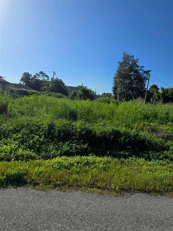 A vacant, overgrown lot with tall grass and shrubs sits beside a paved road — 4408 ASTERIA TERRACE, NORTH PORT, FL