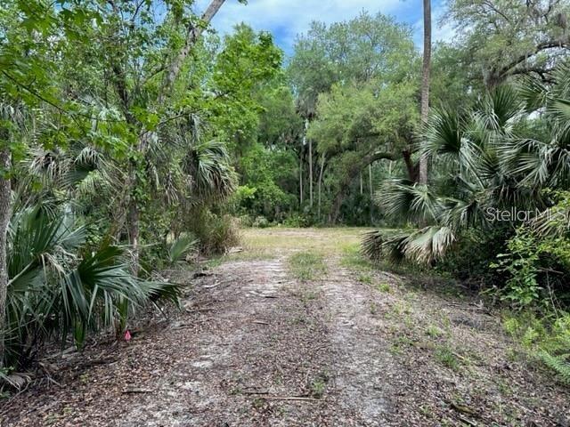 A dirt path leads through a dense, wooded area filled with palm trees and foliage — 1747 TURTLE HILL ROAD, DELTONA, FL