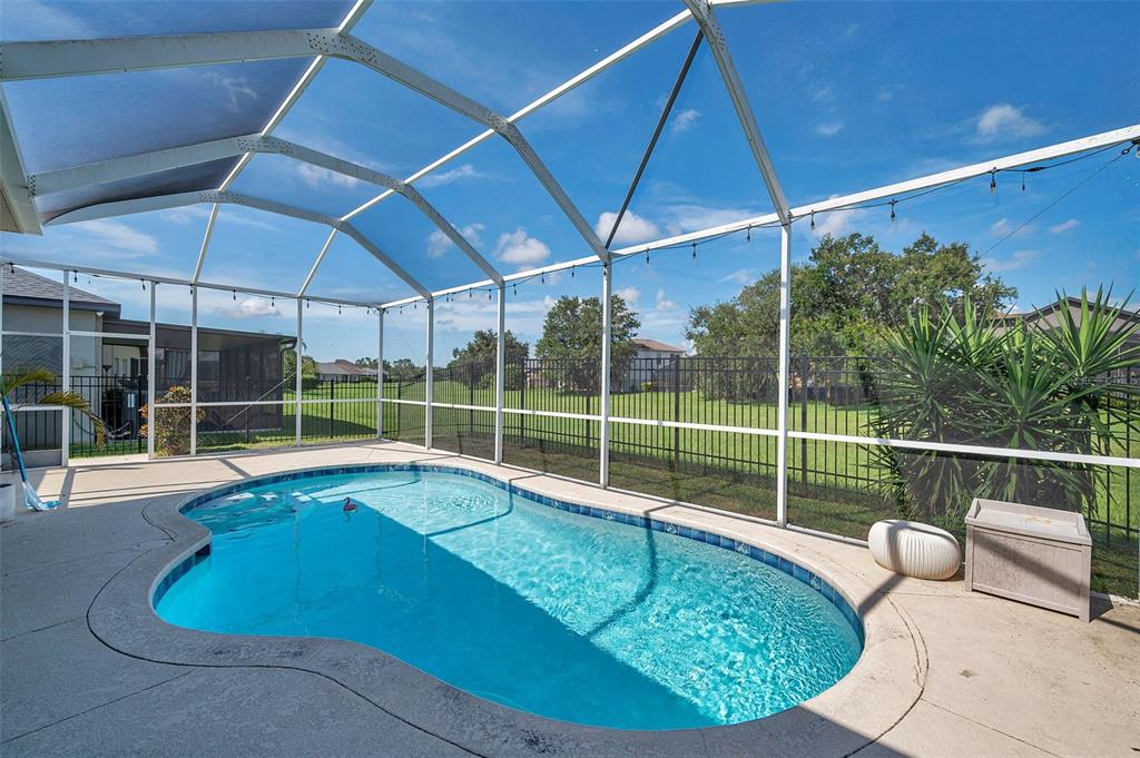 A swimming pool enclosed by a screened lanai overlooks a grassy backyard with a fence — 4641 ROLLING GREEN DRIVE, WESLEY CHAPEL, FL