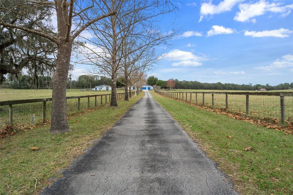 A long paved driveway leads toward a distant building between two fenced grassy pastures — 13496 S OAKVIEW AVENUE, FLORAL CITY, FL