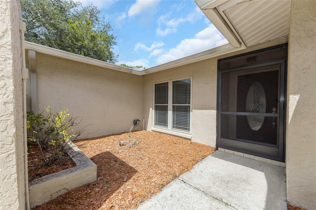 A concrete walkway leads to a front entrance with a screen door and mulch landscaping — 3582 FAIRWAY FOREST DRIVE, PALM HARBOR, FL