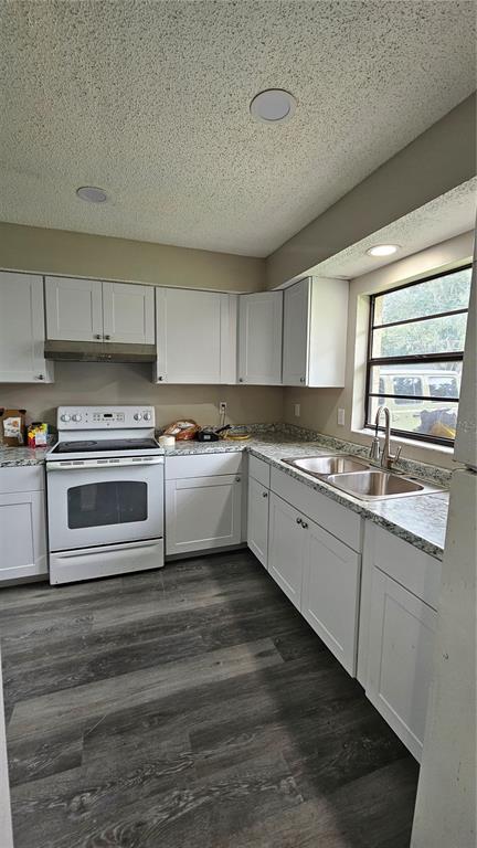 An open-concept kitchen and living area featuring white cabinets, stainless steel appliances, and wood flooring — 3626 WILLOW OAK ROAD, MULBERRY, FL