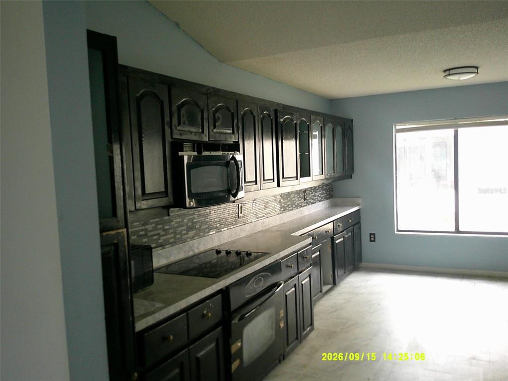 11240 FOUNTAIN LAKE BOULEVARD, LEESBURG, FL — photo 5 of 30