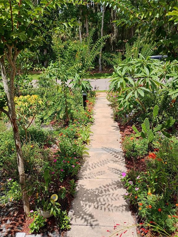 A concrete walkway leads through a lush garden with various plants and flowers toward a street — 109 FERN DRIVE, DEBARY, FL