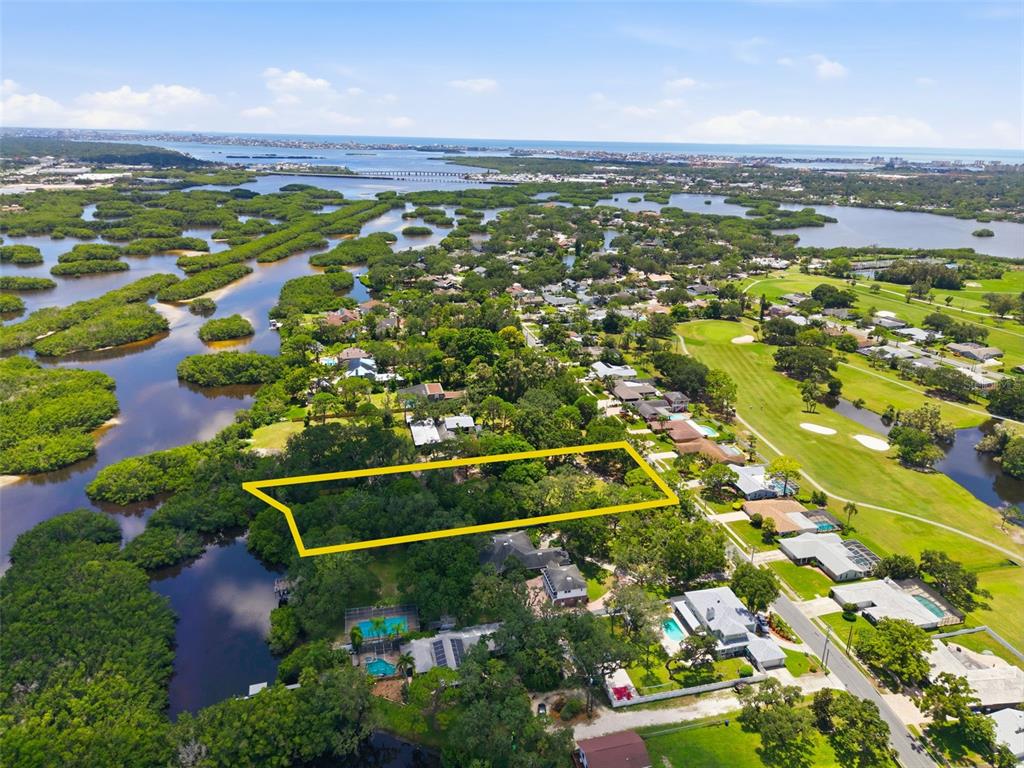 An aerial view shows a rectangular wooded lot outlined in yellow near a golf course — 6495 BURNING TREE DRIVE, SEMINOLE, FL